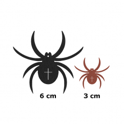 pavouci porovnani detail